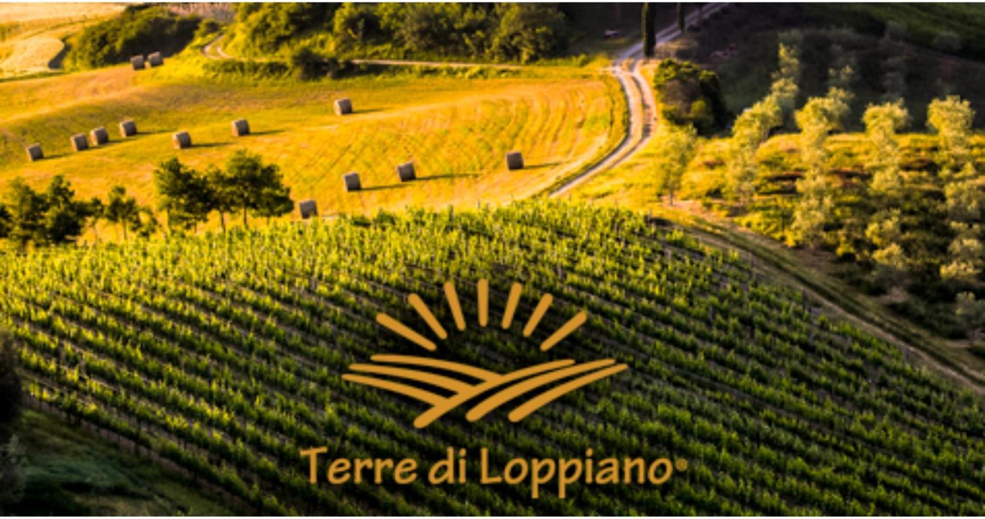Вілла Agriturismo Fattoria Di Loppiano Regina Mundi Vivajo Екстер'єр фото